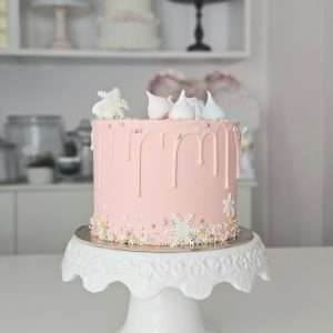 Winter Princess Cake